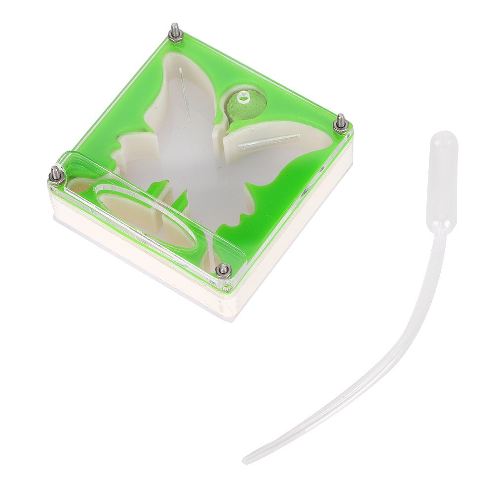 Ant farm Transparent Acrylic Ant habitat Ant workshop Self-controlled humidity Ant nests Castle for ants