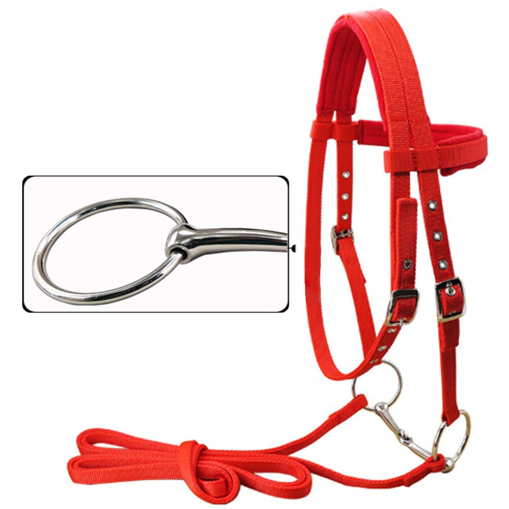 Riding Equipment Winter Soft With Bit Bridle Sports Rein Belt Thicken Adjustable Strap Horse Halter Fleece Protective