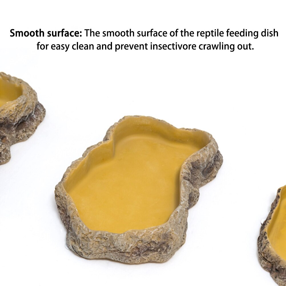 Feeding Bowl Snake Tortoise Pets Water Gecko Lizard Crawler Reptile Food Dish Turtle Feeder Resin Amphibian Landscape Ornament