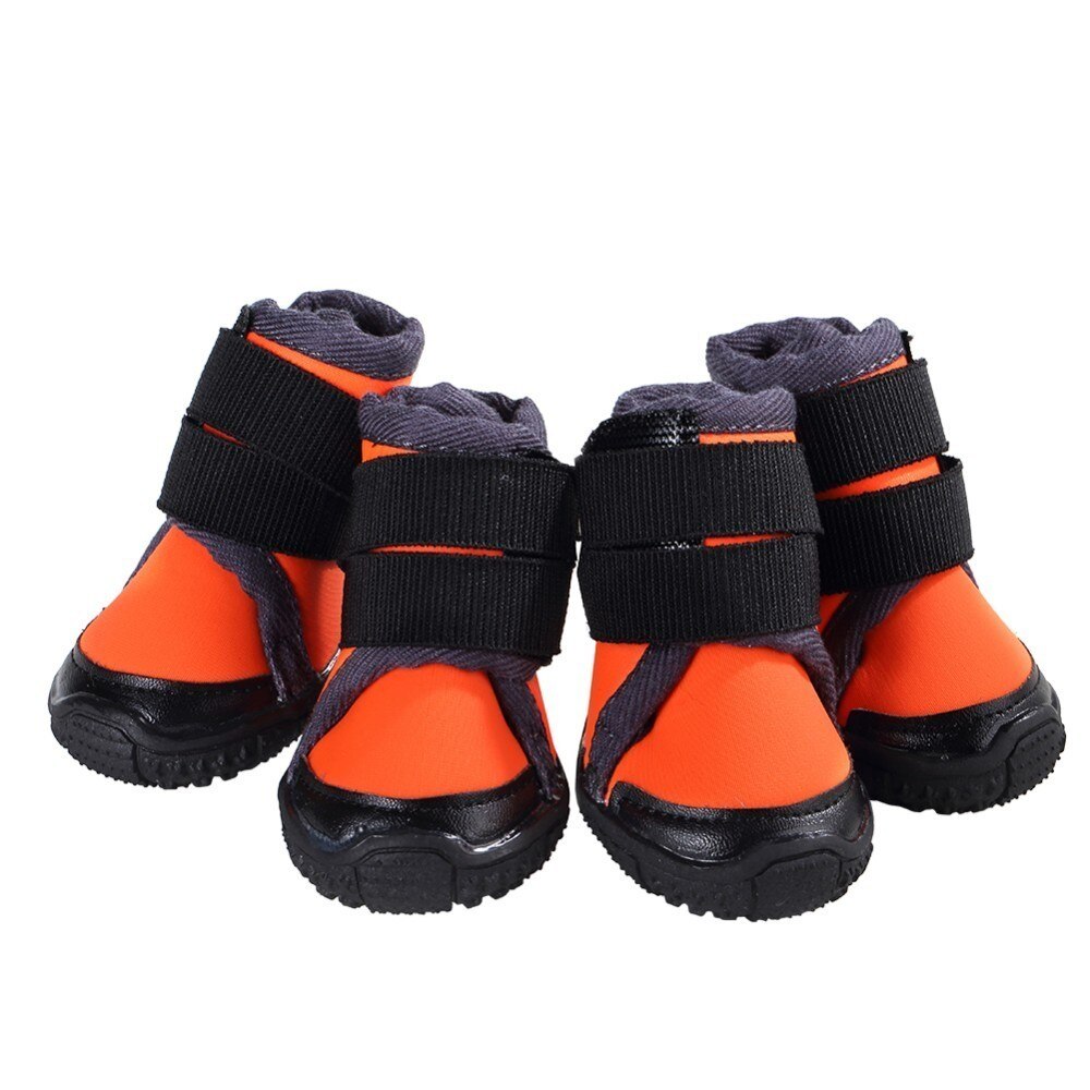 Hundskor små och medelstora hundsporter utomhus hu... – Grandado