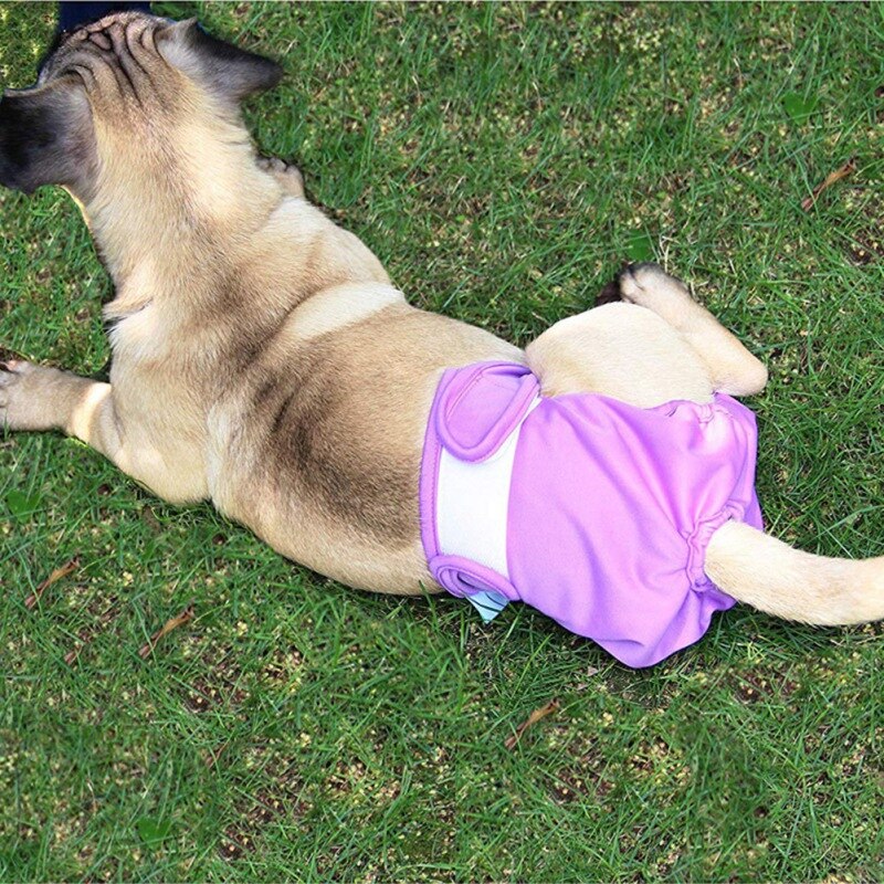Bragas transpirables suaves para perros, pañales lavables para Fisiología, pantalones cortos para cachorros sin entrenamiento, para perros y mujeres, con suministros de calor, XS-XL