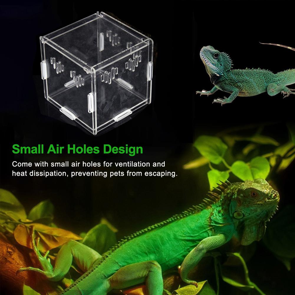 Pet Reptile Transparent Feeding Box Amphibian Feeding Box Snake Breeding Box Spider Lizard Scorpion Centipede Stitching Box