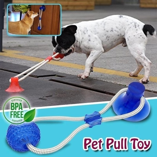 Jouets pour chiens en caoutchouc ventouse chien jouets balle pour animaux de compagnie remorqueur drôle jouet à mâcher dents nettoyage chiot Animal jouet remorqueur corde support fournitures pour animaux de compagnie