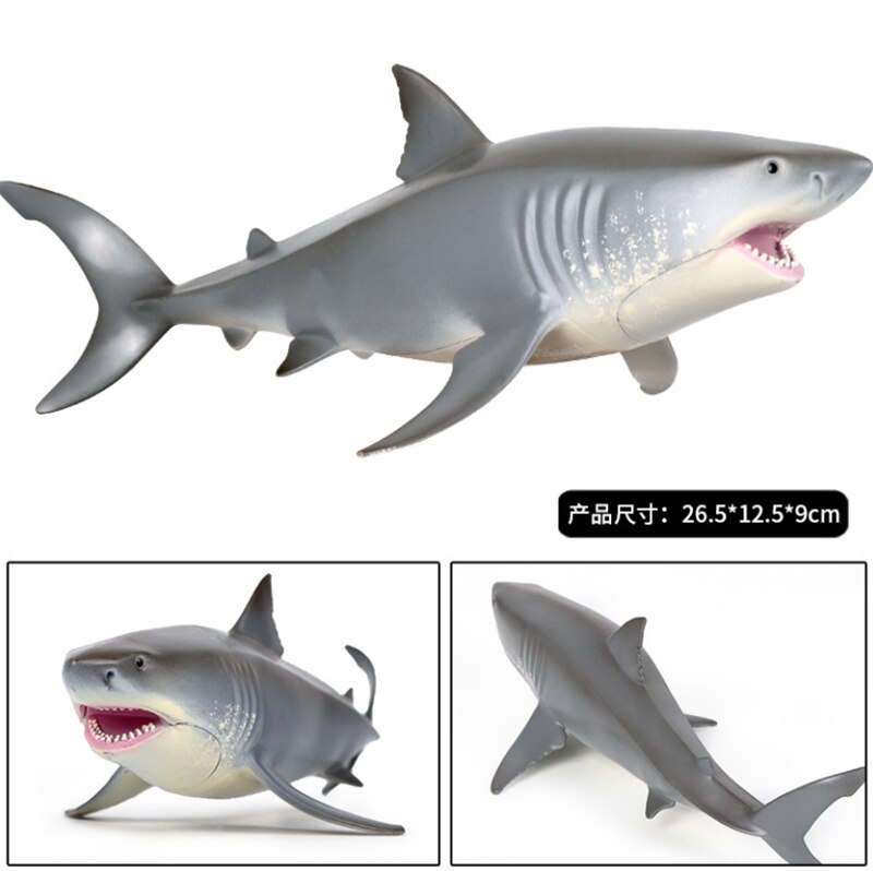 Grote Witte Zee Leven Shark Megalodon Tiger Shark Oceaan Dier Figuur Collector Speelgoed Onderwijs Onderwijs