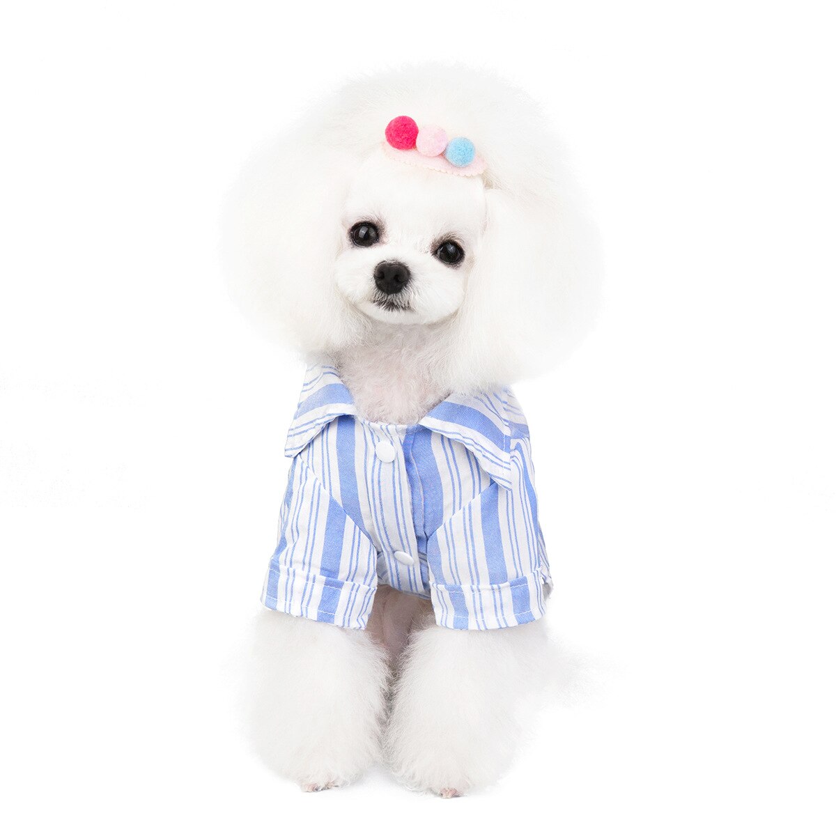 Huisdier Kleding Hond Zomer Shirt Teddy Streep Shirts Chihuahua Twee Legged Kleding Hond Shirts Voor Kleine Honden Hond Kleding