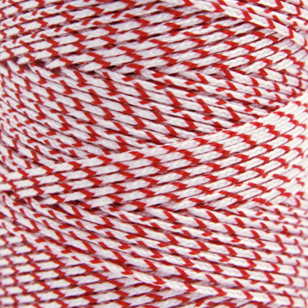 1000ft 120lb tresse Dacron ligne pour pêche ligne de cerf-volant chaîne pour ligne unique volant en plein air Camping randonnée utilitaire cordon
