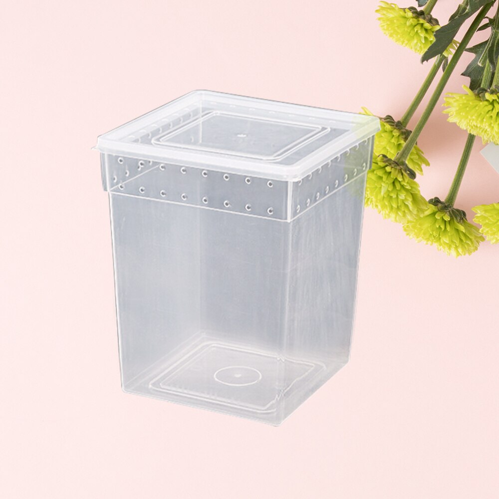 Reptile Box Climbing Pet Feeding Container Special Transparent Breeding Box for Spider Lizard Tree