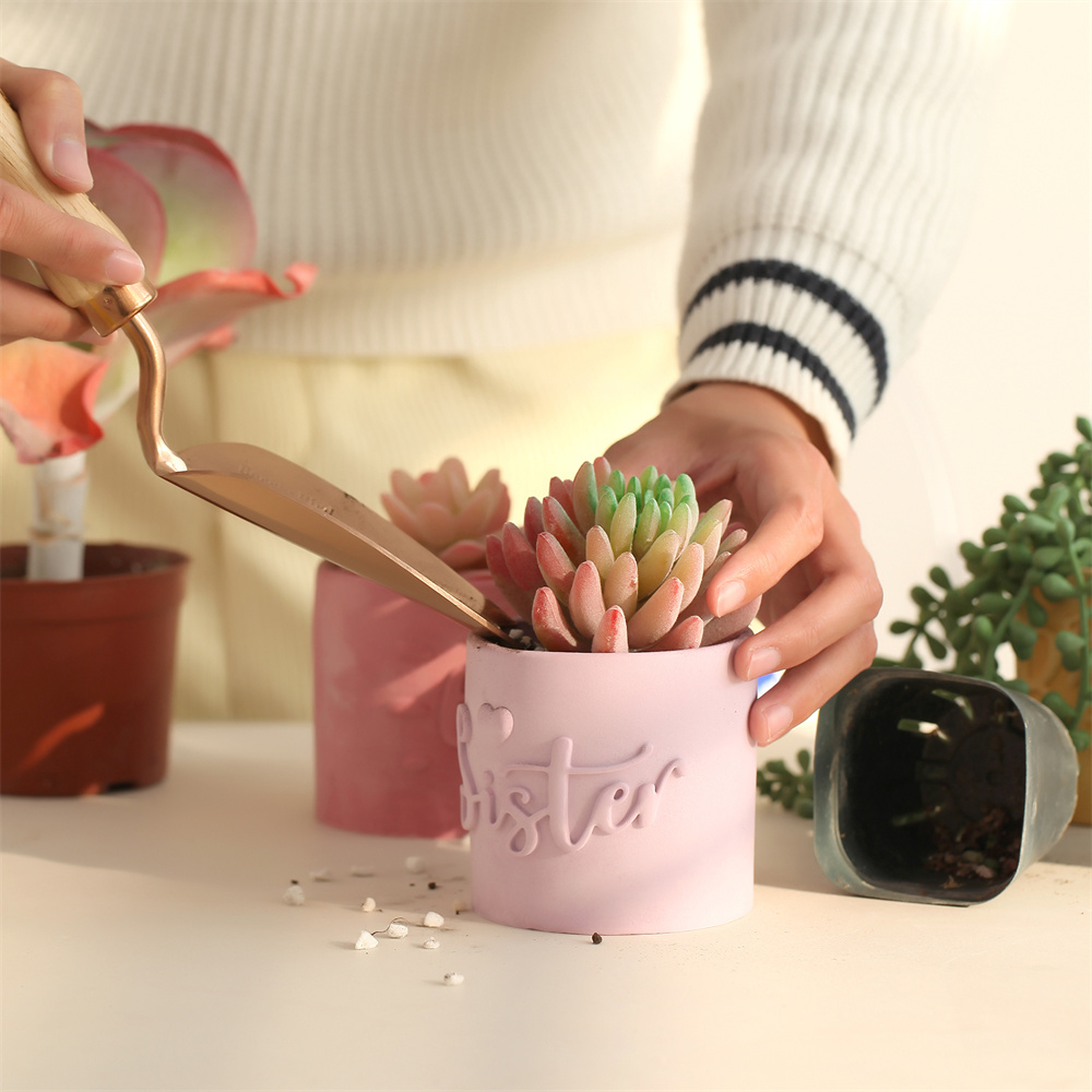 Nicole – Pot de jardinière avec plateau, moule en béton et Silicone, Pot Succulent, moule Jesmonite, meilleur pour maman de tous les temps, décoration de maison