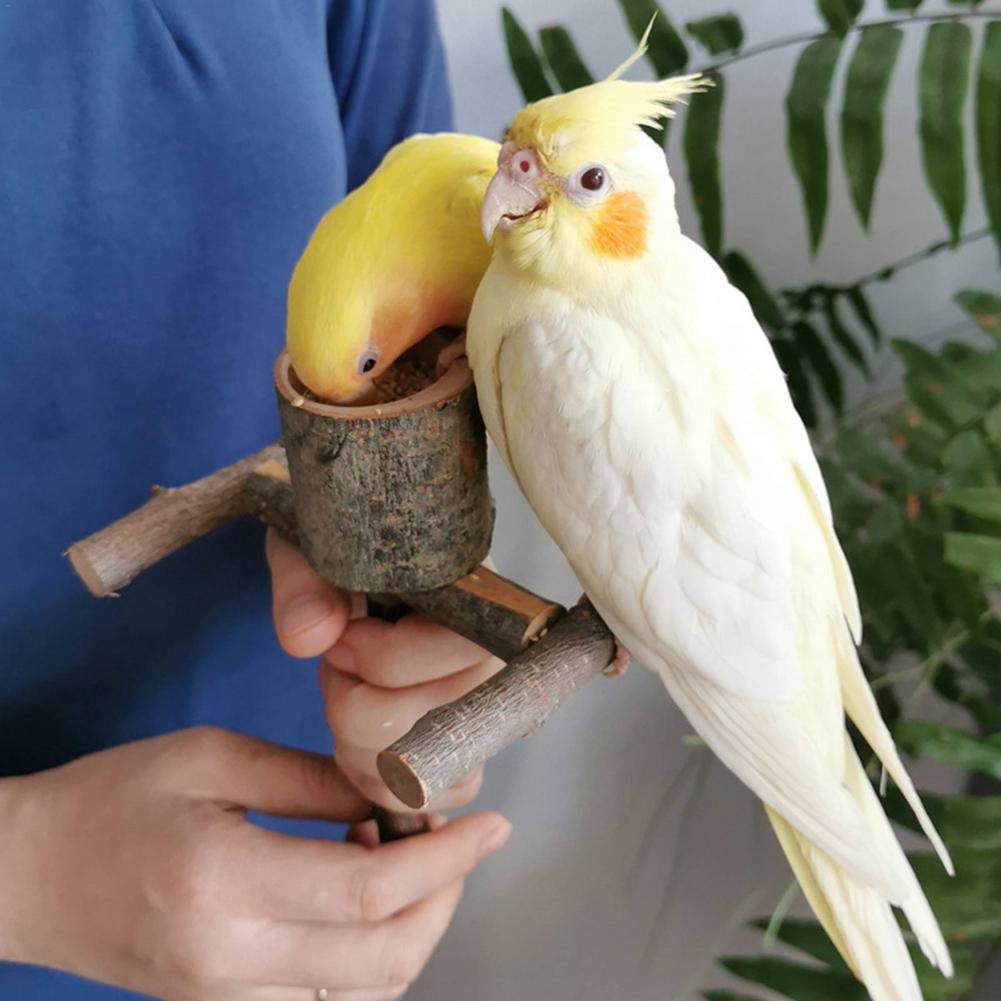 Bird Perch Feeder Pet Bird Table Perch Stands Wooden For Small Medium Bird Parrot Budgies Parakeet Cockatiel Cockatoo Conure Lov