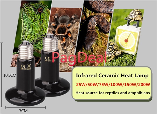 Lampe thermique en céramique infrarouge Reptile émetteur chauffage ampoule animal de compagnie poulailler lézard tortue serpent amphibien volaille couveuse pousser la lumière