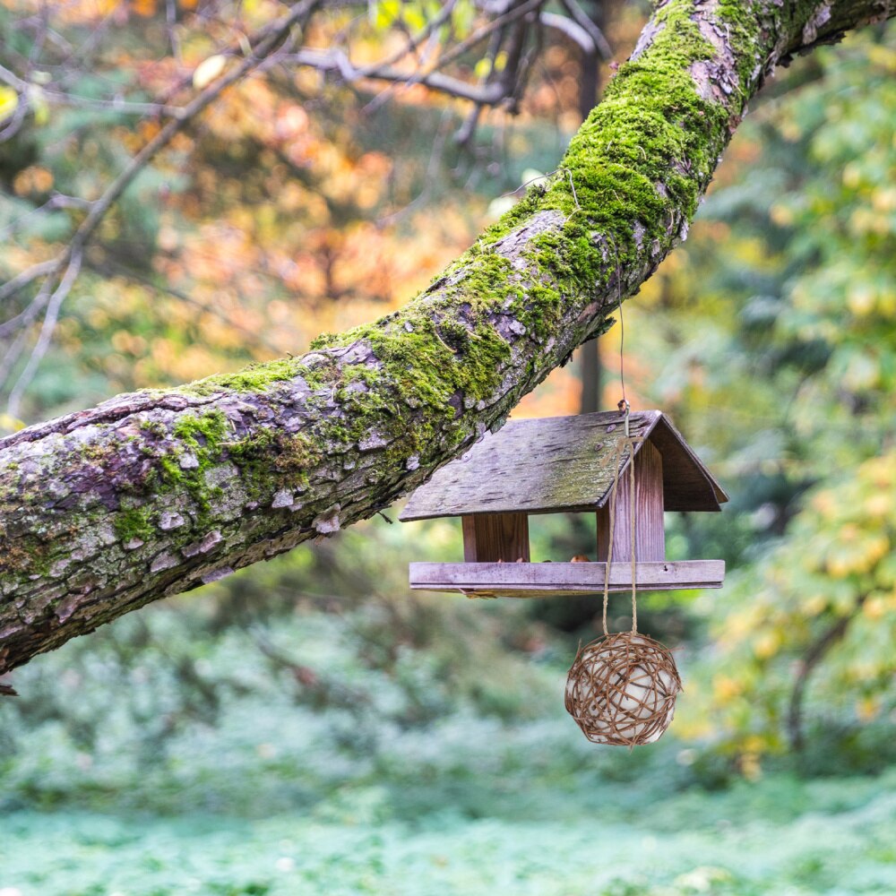 3PCS Outdoor Bird Nesting Material Wild Hummingbird Nest Bird Feeder Light Brown