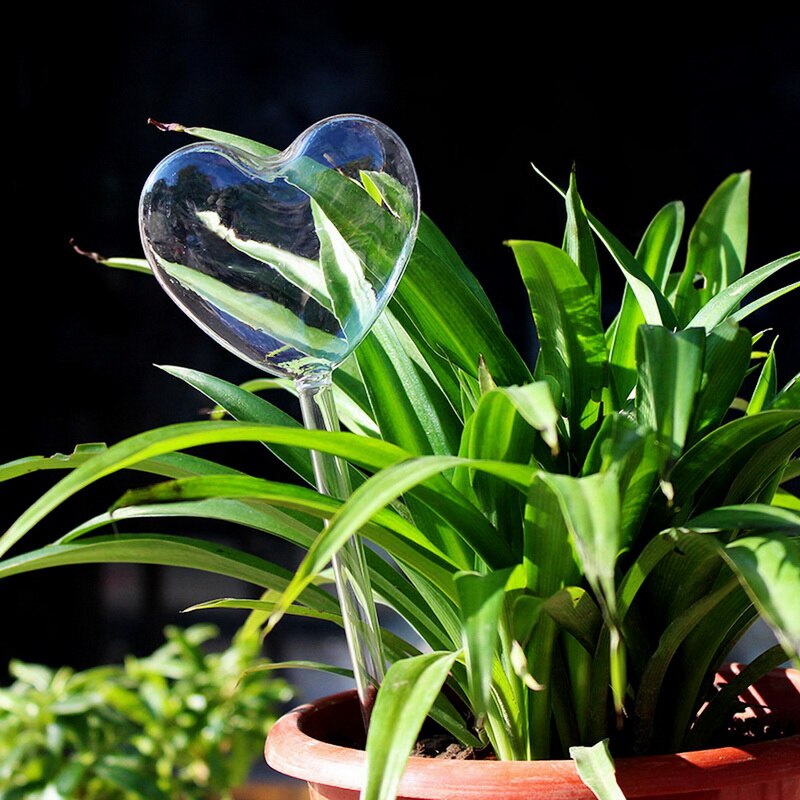 Automatic Flower Watering Device Houseplant Plant Water Pot Plant Water Globe Bulb Garden House Watering Cans Gardening Tools: glass H