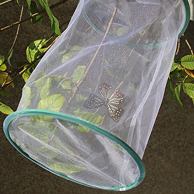 Portable Children Insect Observation Mesh Box Butt... – Vicedeal