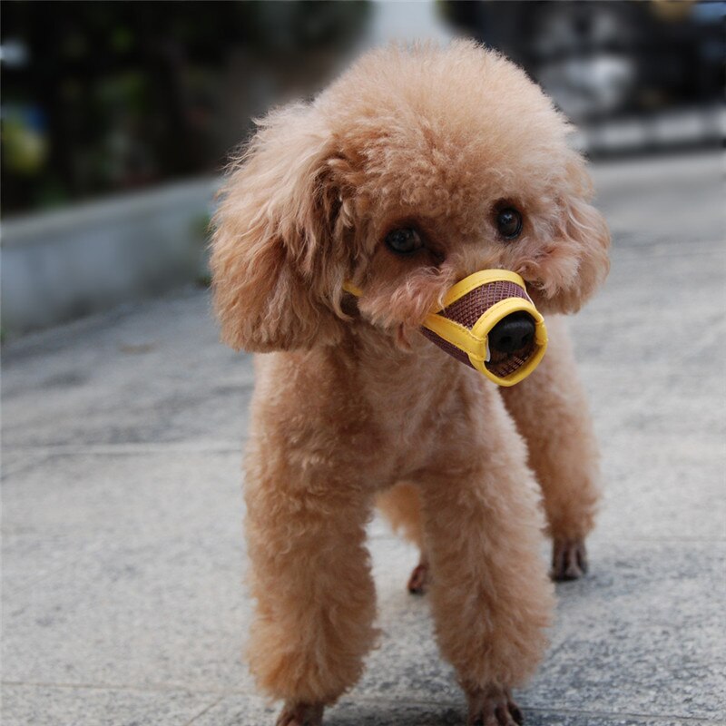 Hocico del perro cachorro de perro de cuero de malla de Nylon hocico de mascota boca