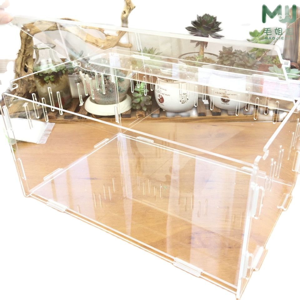 1PCS Crawler Box Acrylic Spider Ant Lizard Horned Frog Tortoise Gecko Feeding Box Reptile