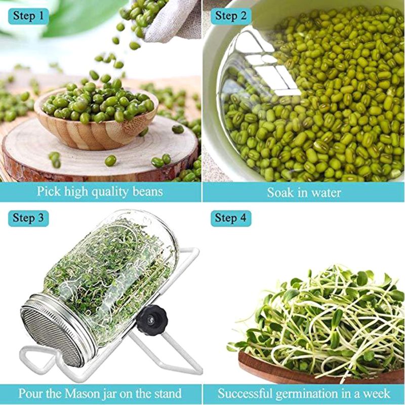 4 stk spirekrukke i rustfrit stål med 2 beslag stativer til bred mund murer spire krukker germinator grow broccoli