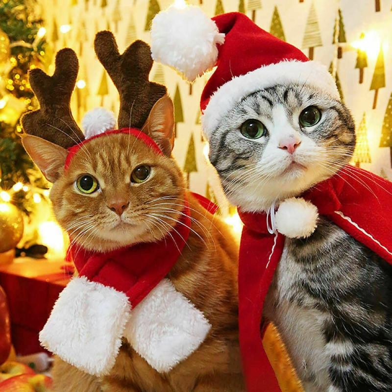 Sjov jul kæledyr kostume decors kæledyr hund kat hvalp santa rødt tørklæde hat hjorte hoved sød kappe katte kostume xmas hjem decors