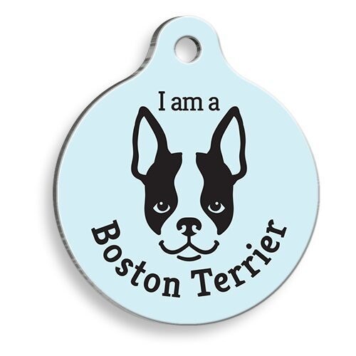 Bracelet rond pour chien Boston Terrier, bleu