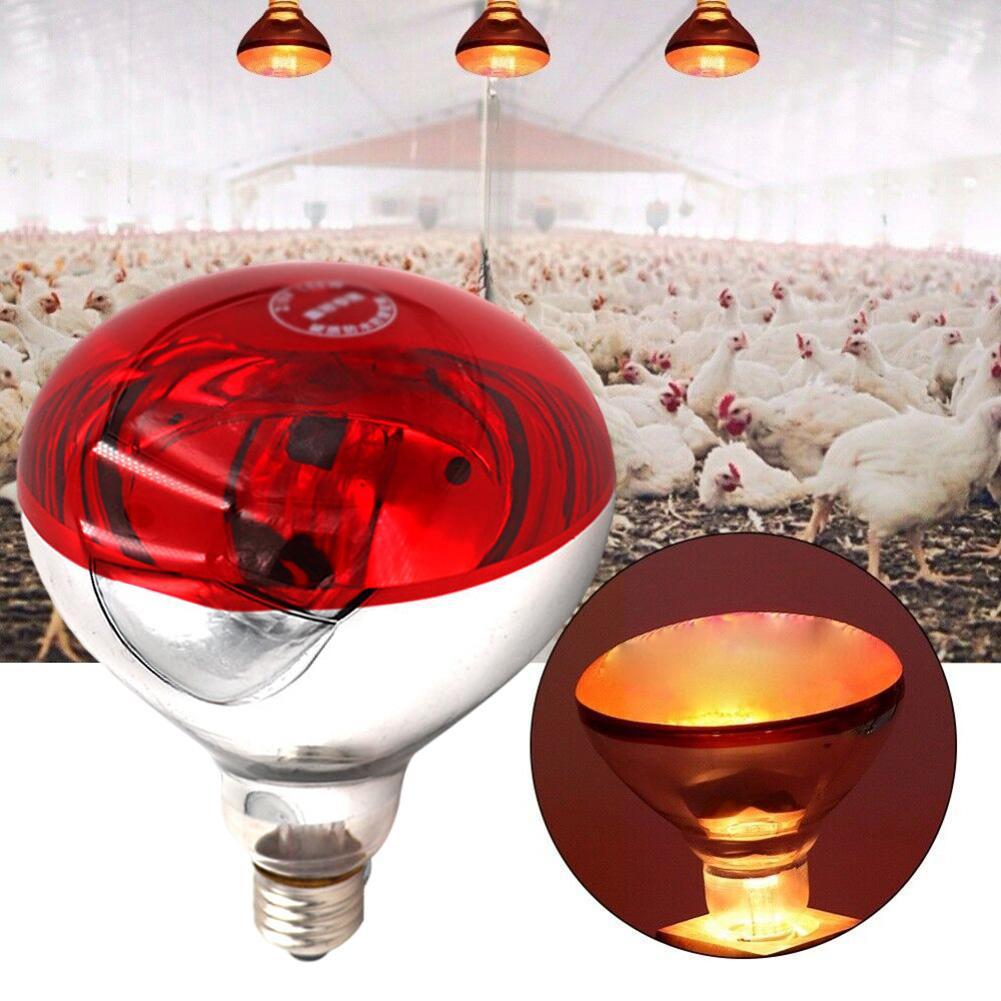 Luz térmica para granja, suministros de iluminación para Preservación de reptiles, calor para lámpara de cerdo, pollo, rayos infrarrojos, escotilla LED para perros y gatos, 1 unidad