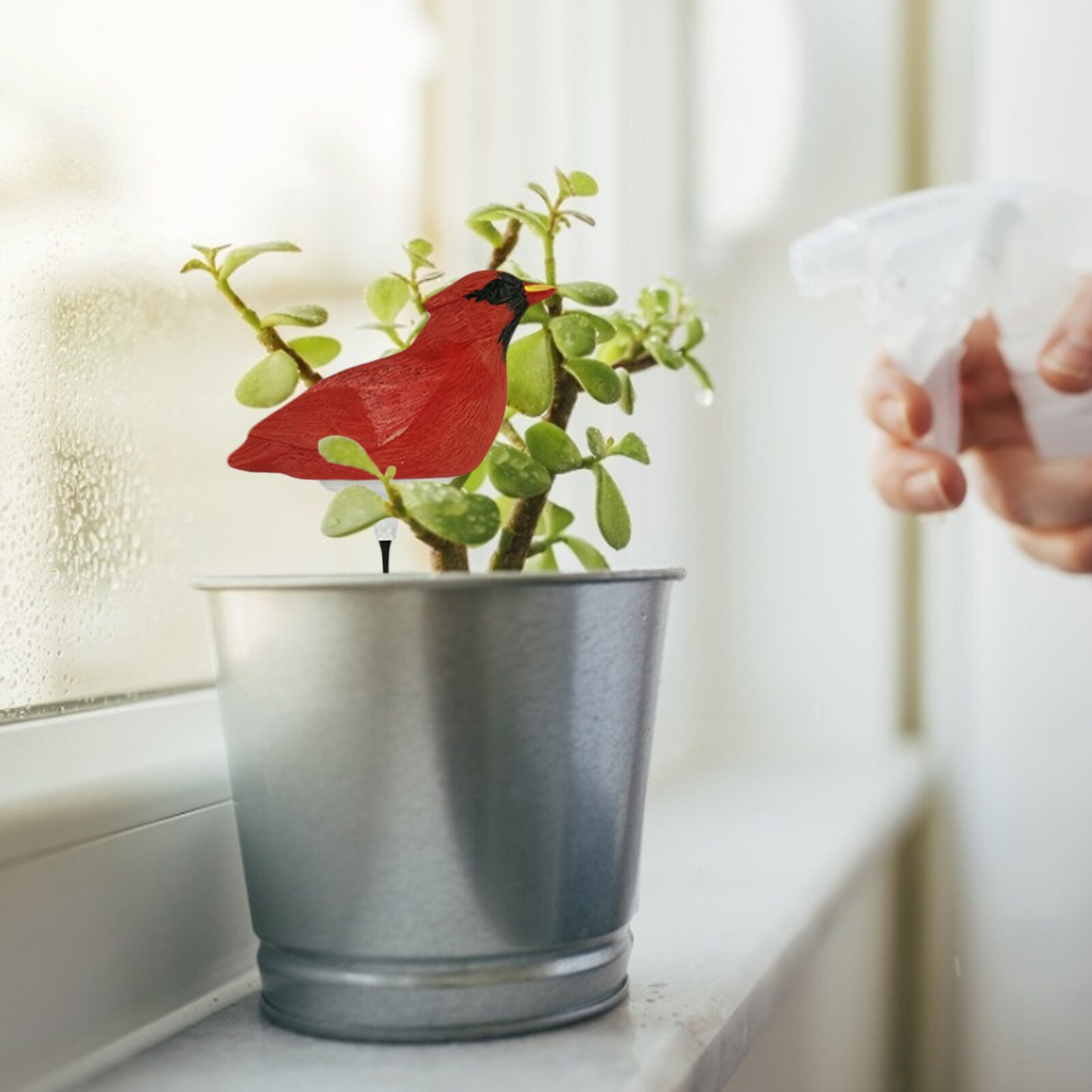 Flower Pot Moisture Test Alarm Plant Soil Moisture Water Tester Hygrometer Sensor Store Flower Hydroponic Garden Tool