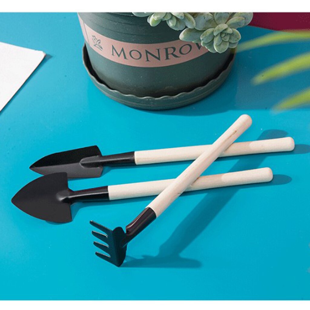 3pcs Garden Plant Tools Mini Planting Succulent Garden Tools with Wood Handle