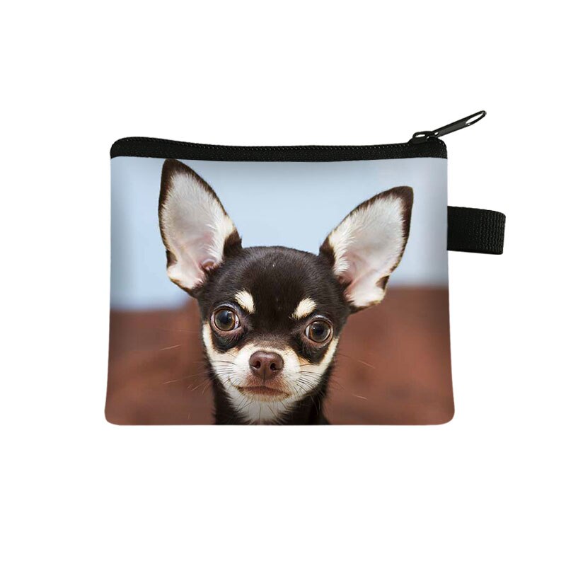 Cute Dog Chihuahua Mom Coin Purse Women Mini Wallet Lovely Dog Purses and Handbag Mini Lipstick Bags: lqbchihucw08