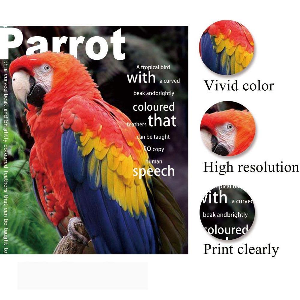 A4 200g Fotopapier Glänzend drucker fotografische papier für inkjet drucker büro glänzend papier 20 blätter/100 blätter