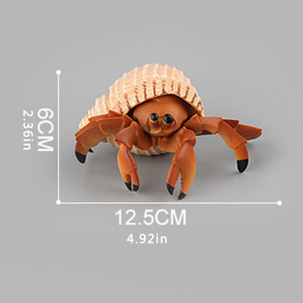 Simulatie Grote Witte Haai Walvis Haai Mariene Biologie Model Schildpad Penguin Onderwater Wereld Kinderen Dier Speelgoed: Hermit crab
