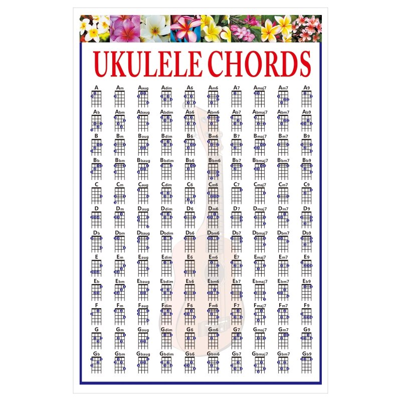 Ukulele Akkoord Tablatuur Ukulele Spelers Akkoord Vingeren Praktijk Grafiek Beginner Praktijk Auxiliary Tool Accessoires: Light Grey