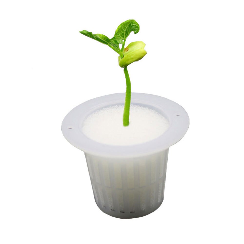 10 stk hvid mesh pot netto kop kurv + klon kloning krave skum indsætte hydroponic vegetabilsk plante vokse frø spire