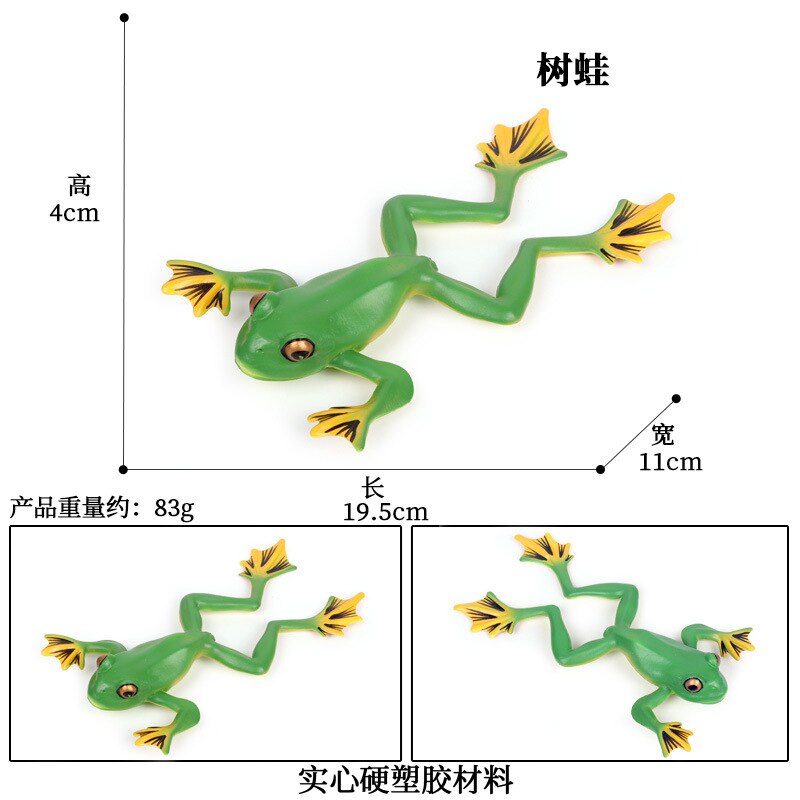 Simulatie Amfibie Dieren Kikker Levensduur Stadia Actiefiguren Kikkervisje Bullfrog Toad Model Collection Educatief Speelgoed: M-875