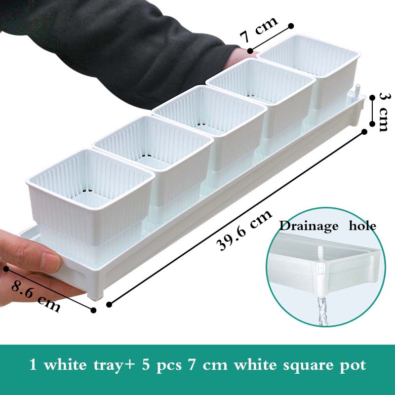 Multisize Meshpot Flower Pots Succulent Cactus Plants Nursery Pots Plant Pot with holes Garden Accessories for Home Decoration