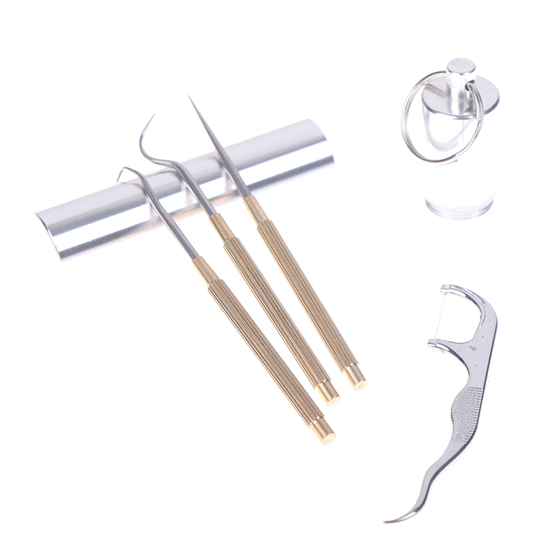 5Pcs Reusable Toothpick Travel Fruit Fork Metal Flossing Teeth Cleaning Tool Portable Stainless Steel Metal Toothpick