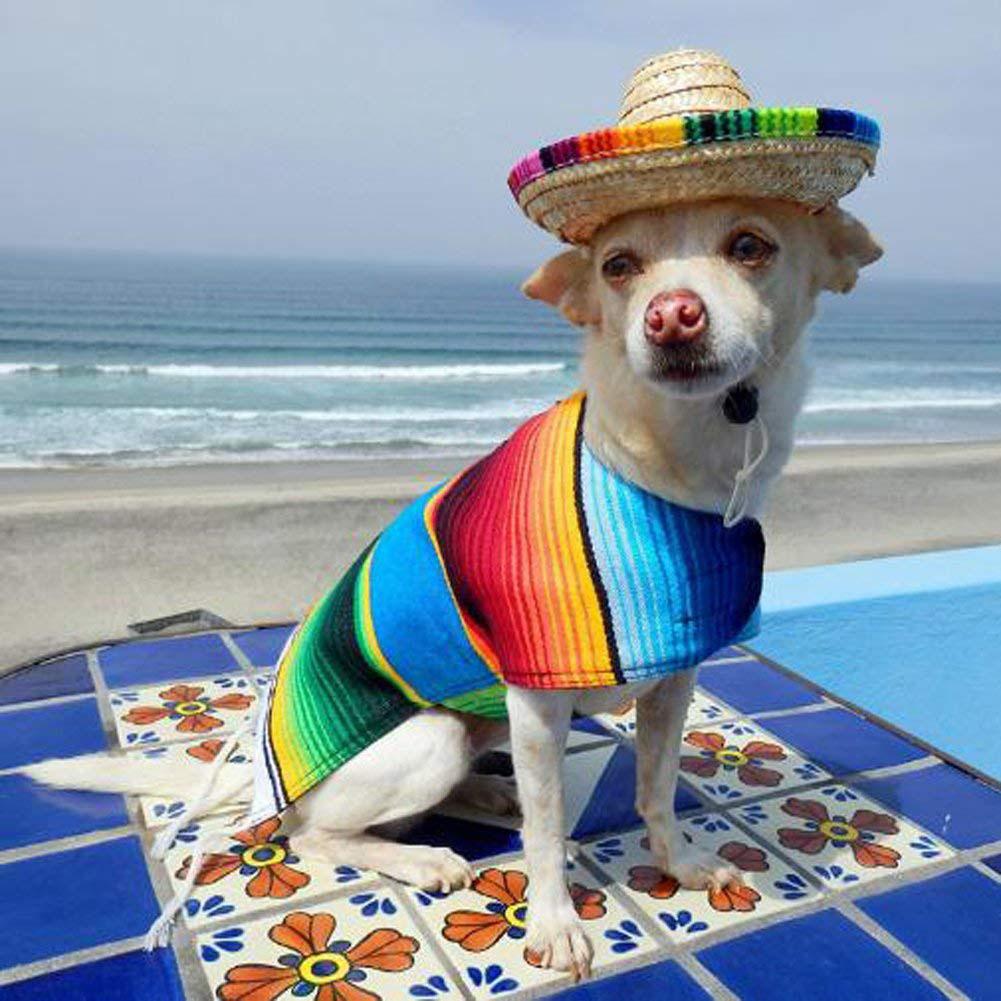 Leuke Mini Puppy Hond Stro Geweven Zonnehoed Cap Mexicaanse Sombrero Dierbenodigdheden