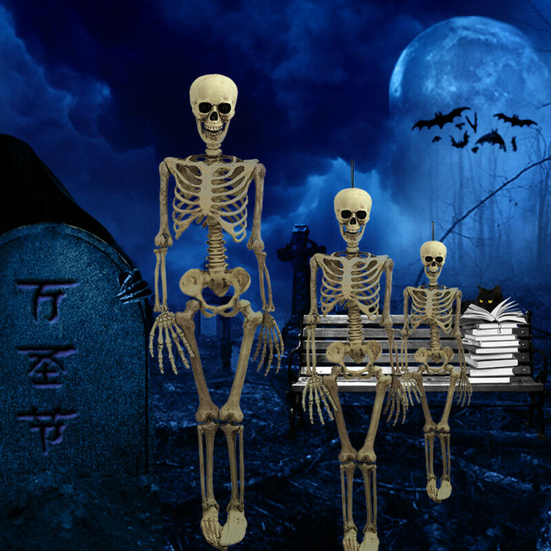 Försäljning halloween poseable livsstil skelett party prop dekor mänsklig anatomi modell