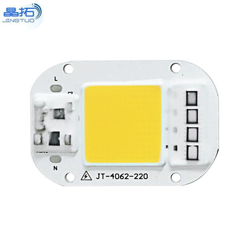 Ac 220V 20W/30W/50W Gratis Driver Hoge Druk Led Chip Cob Lichtbron: 30W 6500K