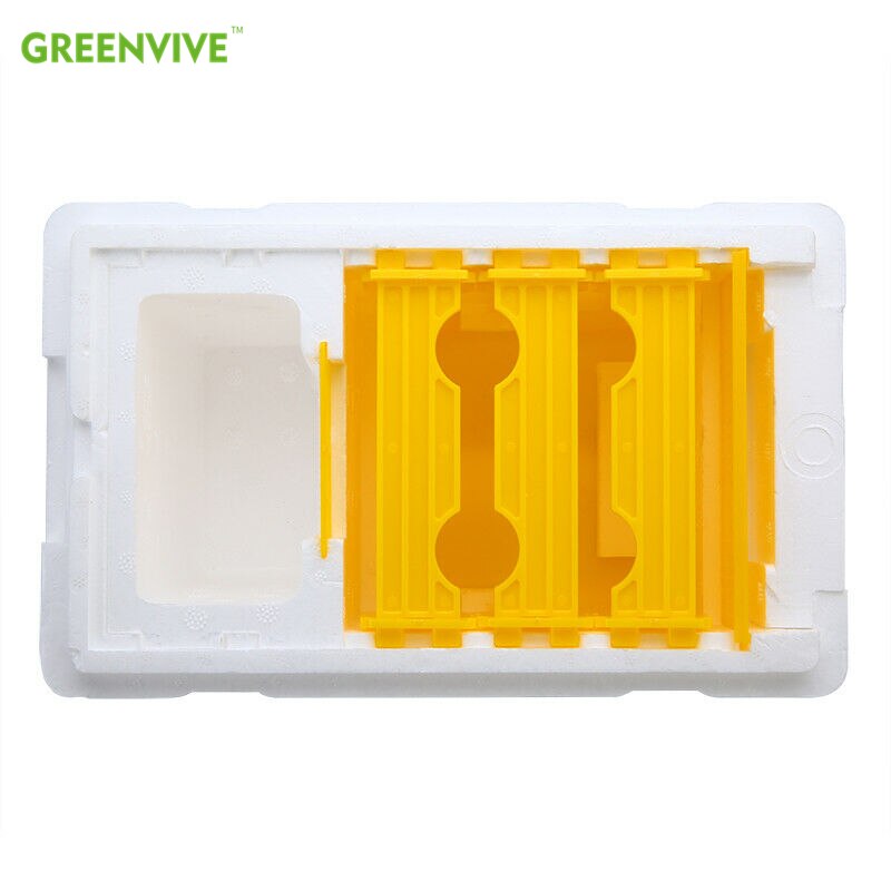 Mini poly bikupa skörd bi box drottning pollinering biodling för bi parning copulation drottning uppfödning bikupa matare rörlig
