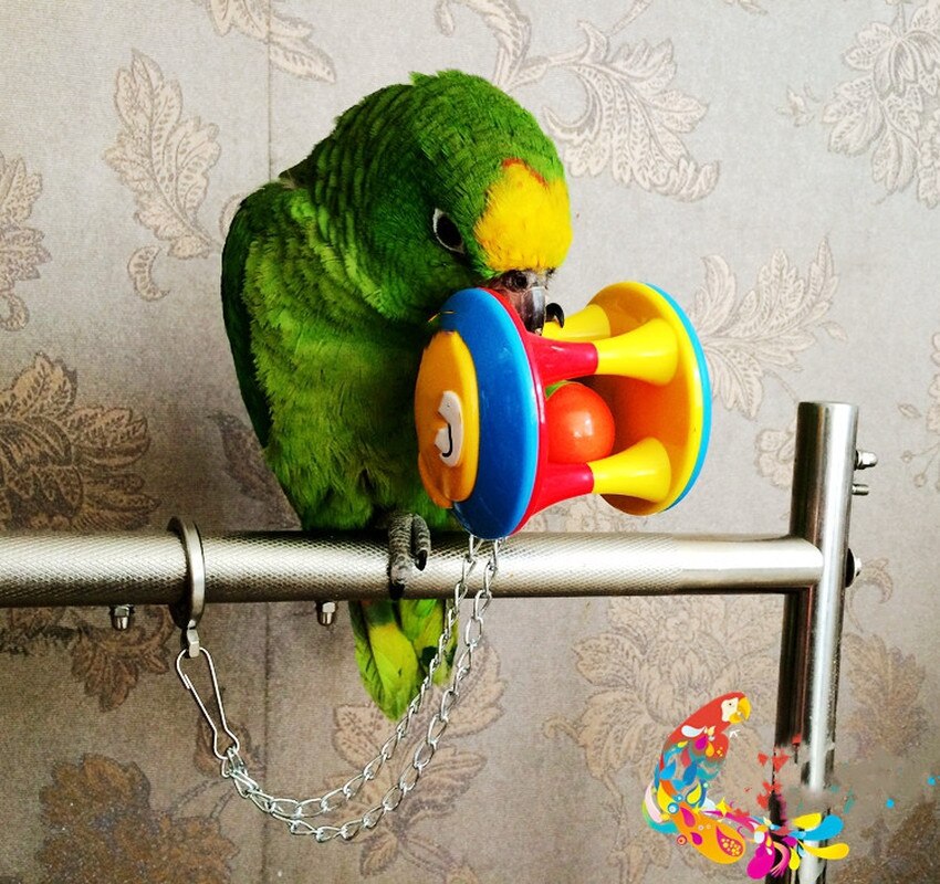 1PC animal de compagnie oiseau en plastique mâcher balle mignon animal perroquet jouet oiseau creux cloche boule chaîne Cage jouet pour perroquet calopsitte perruche