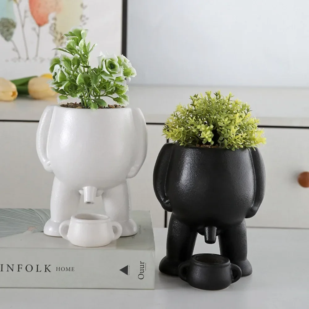kugeldistel saatgut Kugeldistel – Blumensamen online kaufen main image 0