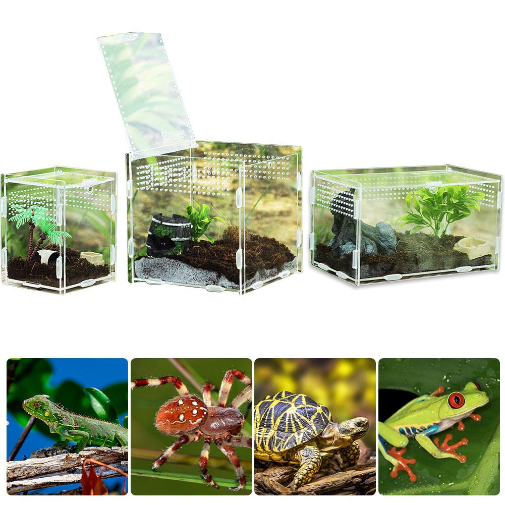 Mehrere Lüftungsschlitze Reptil Zucht Kasten Acryl transparent Reptil Panzer Insekten Spinnen Skorpione Gottesanbeterin Fütterung Kasten Terrarium Panzer