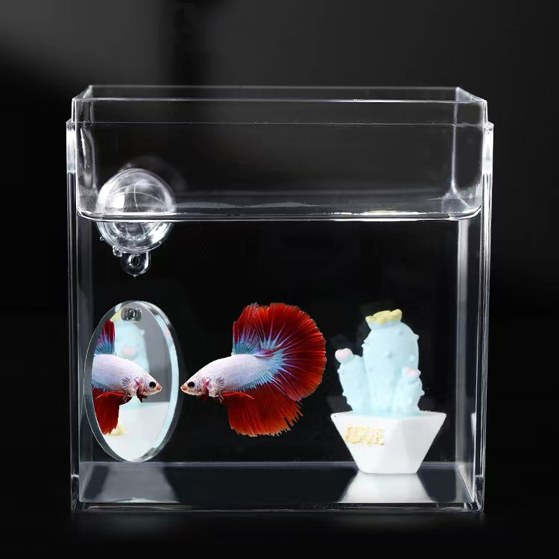 Akrylowe akwarium Betta lustro ryba czołg Pływające okrągłe lustro dla ryb Betta Flowerhorn Cichlid trening 4cm/5cm/6cm/7cm/8cm