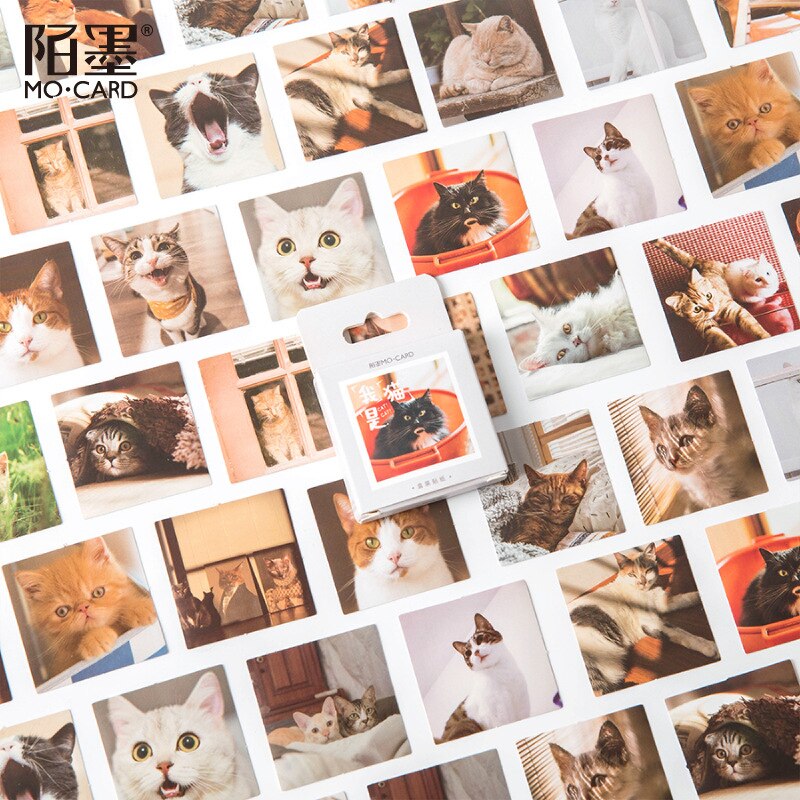46 stk / sæt dagbogen foto af kat klistermærker scrapbooking diy koreansk journal klistermærker rejser japansk papirvarer lille klistermærke