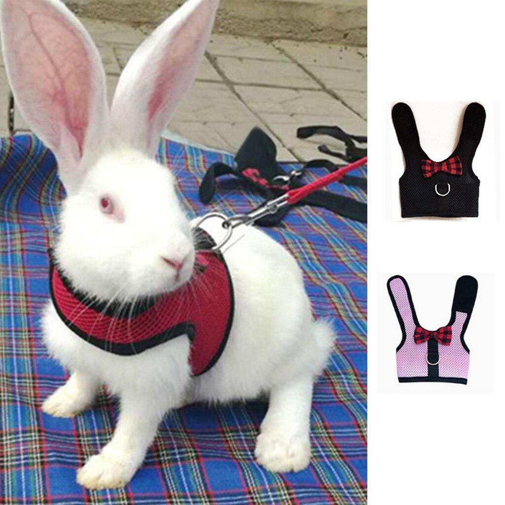 Arnés de chaleco para hámster de conejos S/M/L, con correa para el pecho de malla de conejo Leas, Ferret, conejillo de indias, animales pequeños, accesorios para mascotas