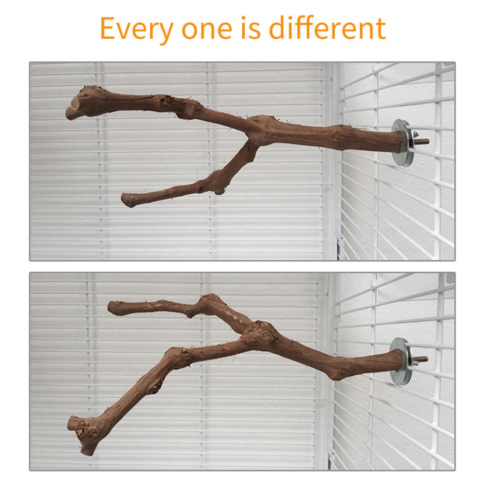 Pet Parrot Bird Standing Stick Wild Grape Wood Pole Bird Cockatiel Parakeet Perches Bite Claw Grinding Toy Bird Cage Accessories