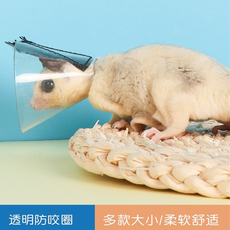 Małe zwierzę elżbietańskie koło miód szybowiec wiewiórka chomik anty-ugryzienie kołnierz przezroczyste i wodoodporne akcesoria dla chomików