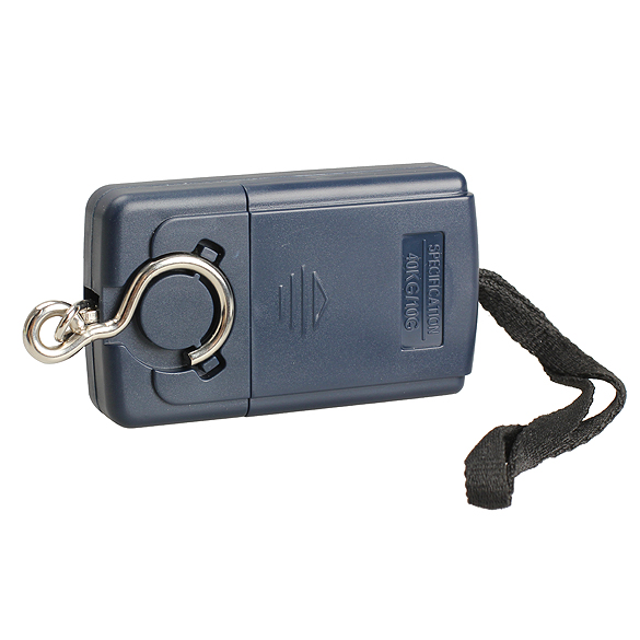Tragbare 40kg/10g Elektronische Hängen Angeln Digital Tasche Haken Skala Wasserdicht Handliche Waage mit Haken LCD Anzeige Neue