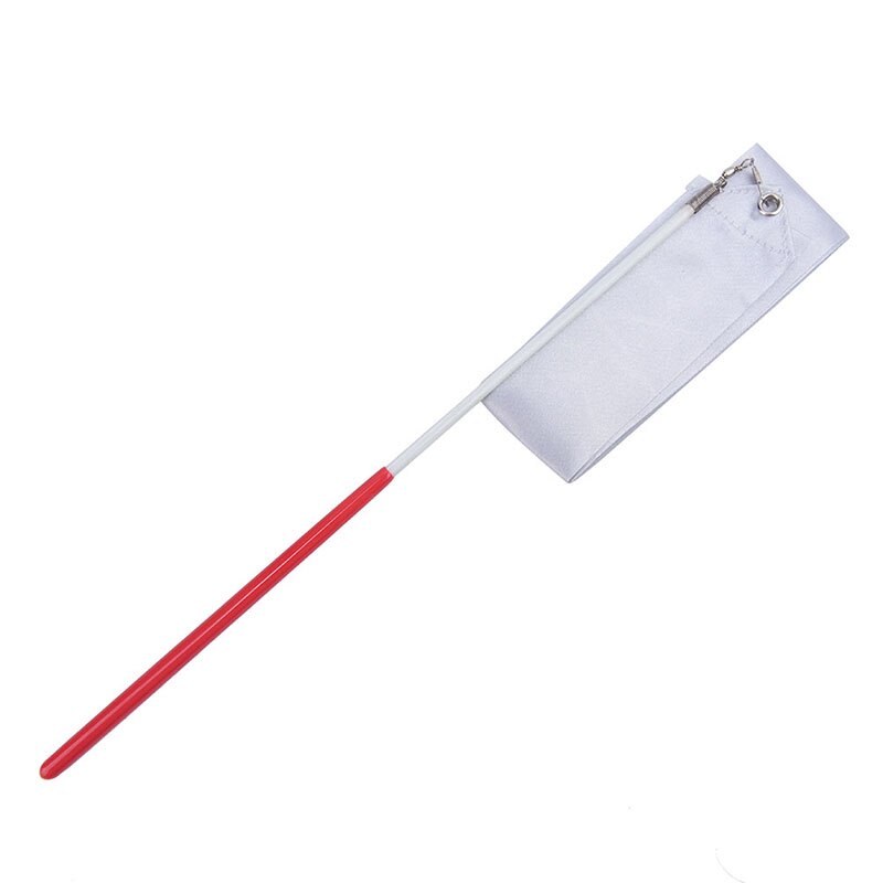 2/4 Meter Professionele Gym Linten Dance Lint Ritmische Gymnastiek Kunst Ballet Streamer: 2M Silver