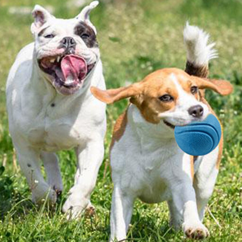 1Pcs pet dog training toy ball Solid Rubber Ball Pet Dog Toy Training Chew Play Fetch Bite Toys #30