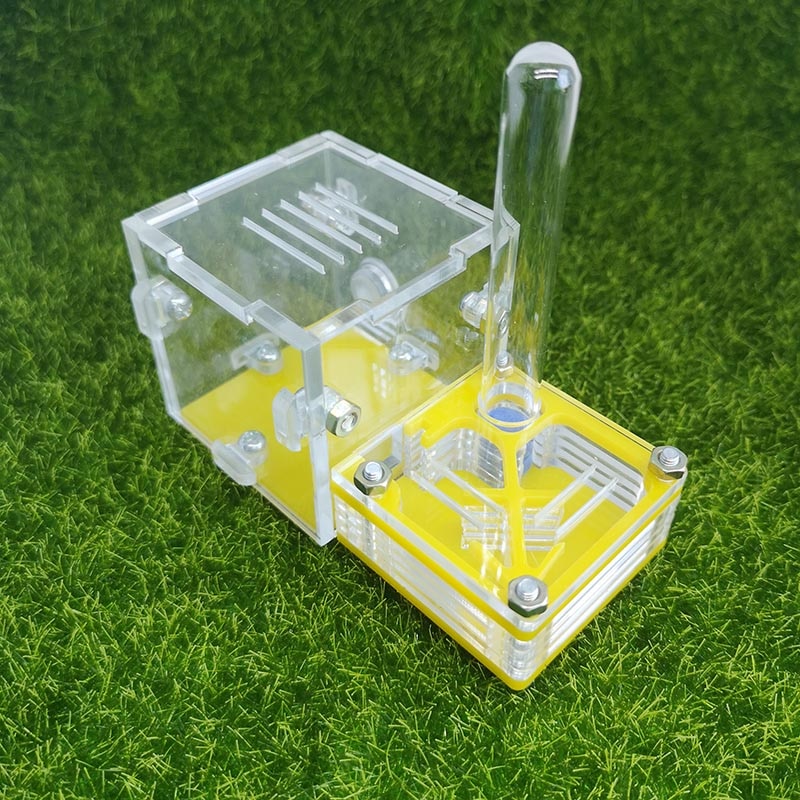 Gelb Ameise Bauernhof Palme Nest Neue Hinten Flugzeug Acryl Nest Ameise Werkstatt Haustier Ameise Reptil Terrarium