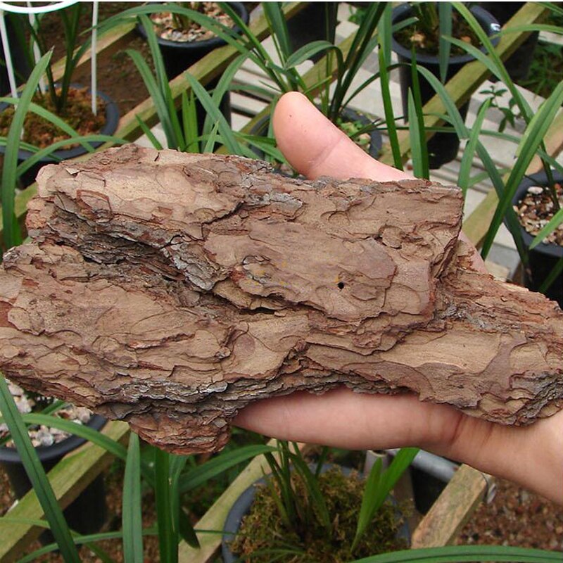 Naturlig frankrig fyrrebark dendrobe orkidé planter zymotic fyrretræ bark gødning lang tid sidste dyrkningssubstrat